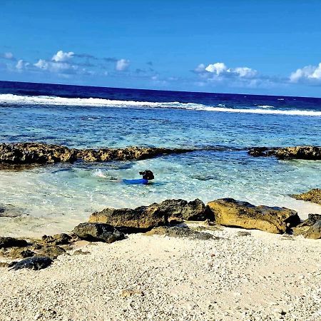 Un Ecrin De Paix Au Soleil Et Proche De La Mer Moorea Buitenkant foto