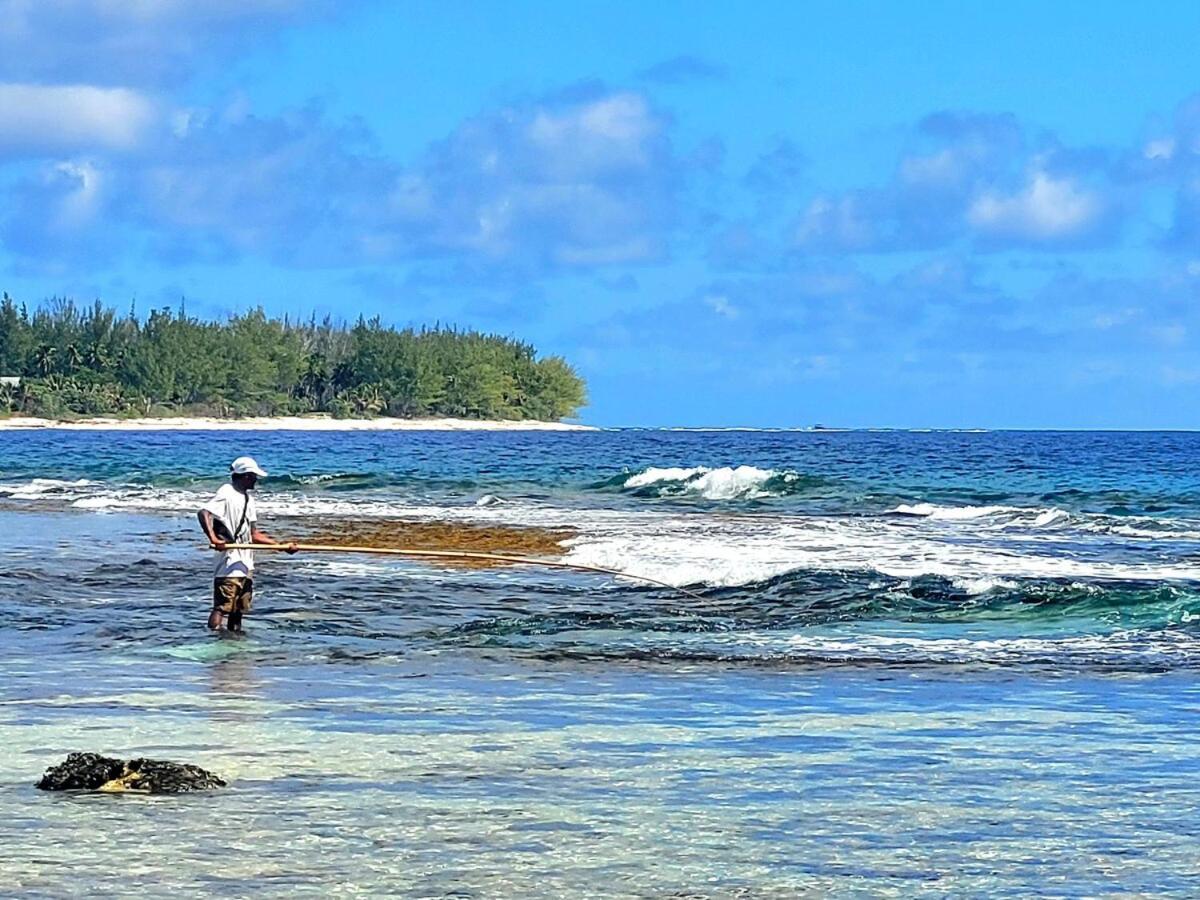 Un Ecrin De Paix Au Soleil Et Proche De La Mer Moorea Buitenkant foto