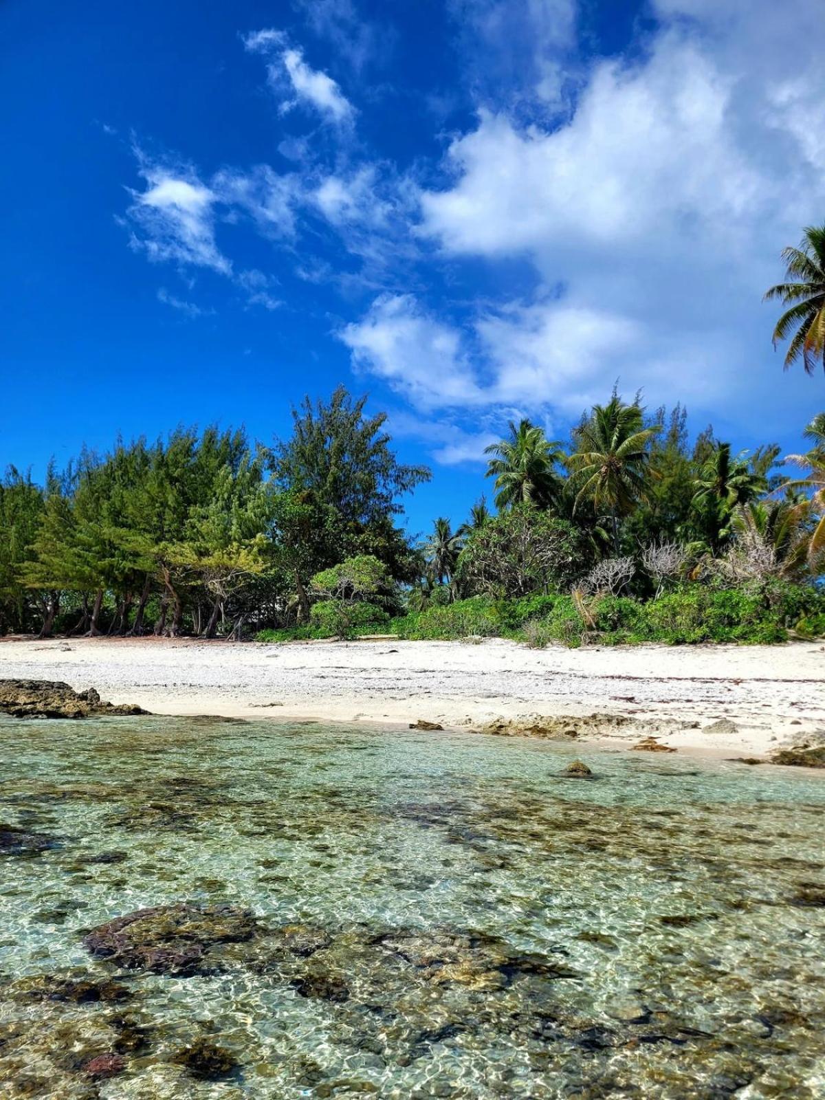 Un Ecrin De Paix Au Soleil Et Proche De La Mer Moorea Buitenkant foto