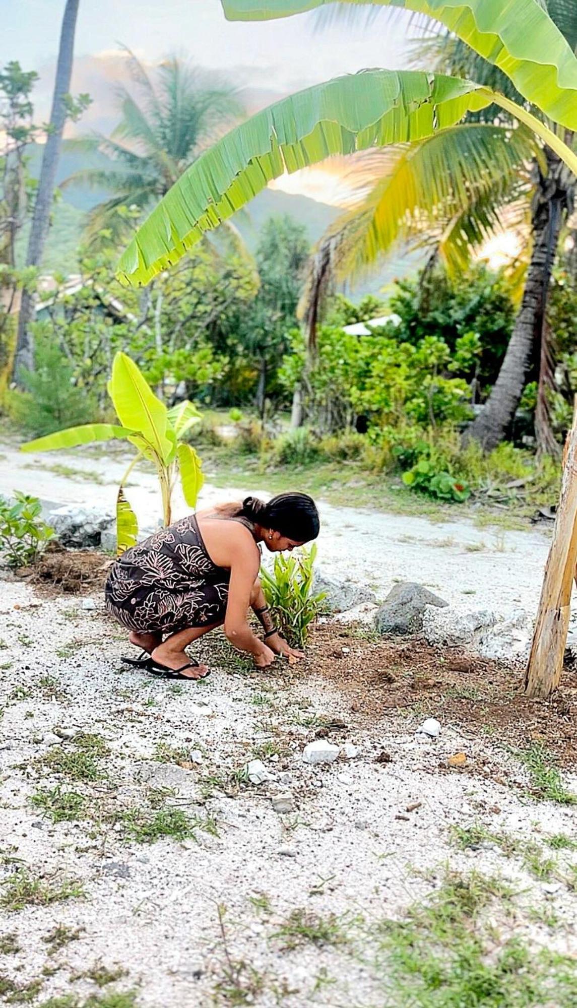 Un Ecrin De Paix Au Soleil Et Proche De La Mer Moorea Buitenkant foto